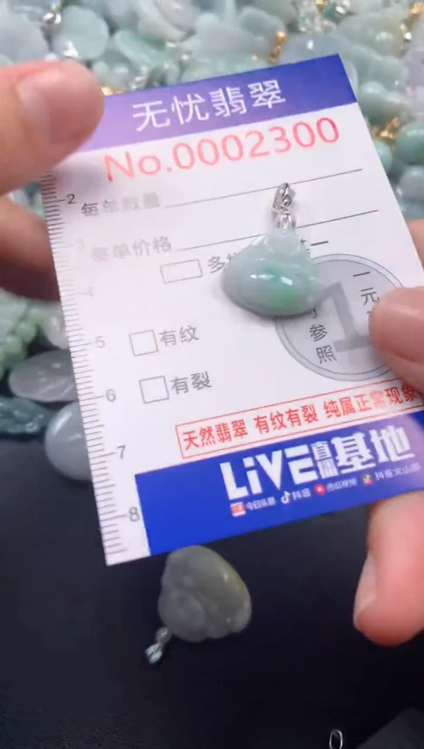 颈饰未镶嵌翡翠2300