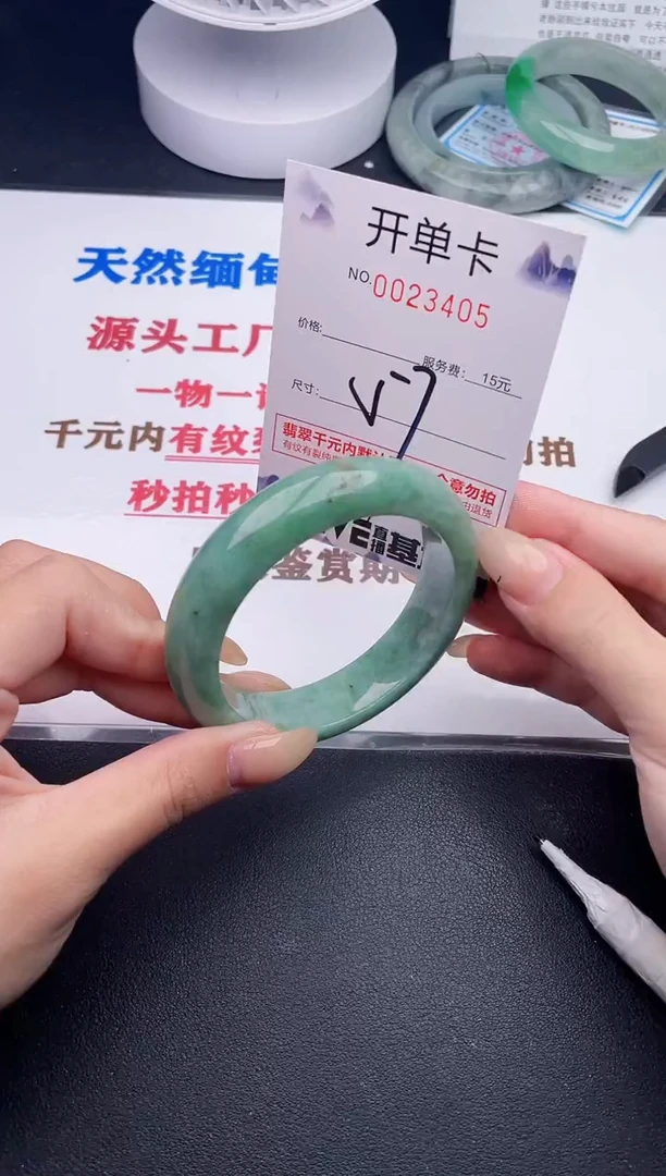 未镶嵌手镯翡翠05