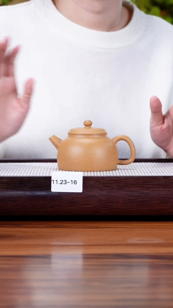 茶壶紫砂11.23-16 黄金段  筑寂170