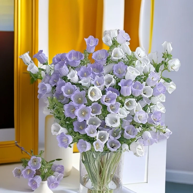 风铃花紫色云南鲜花小清新水养爆花神器
