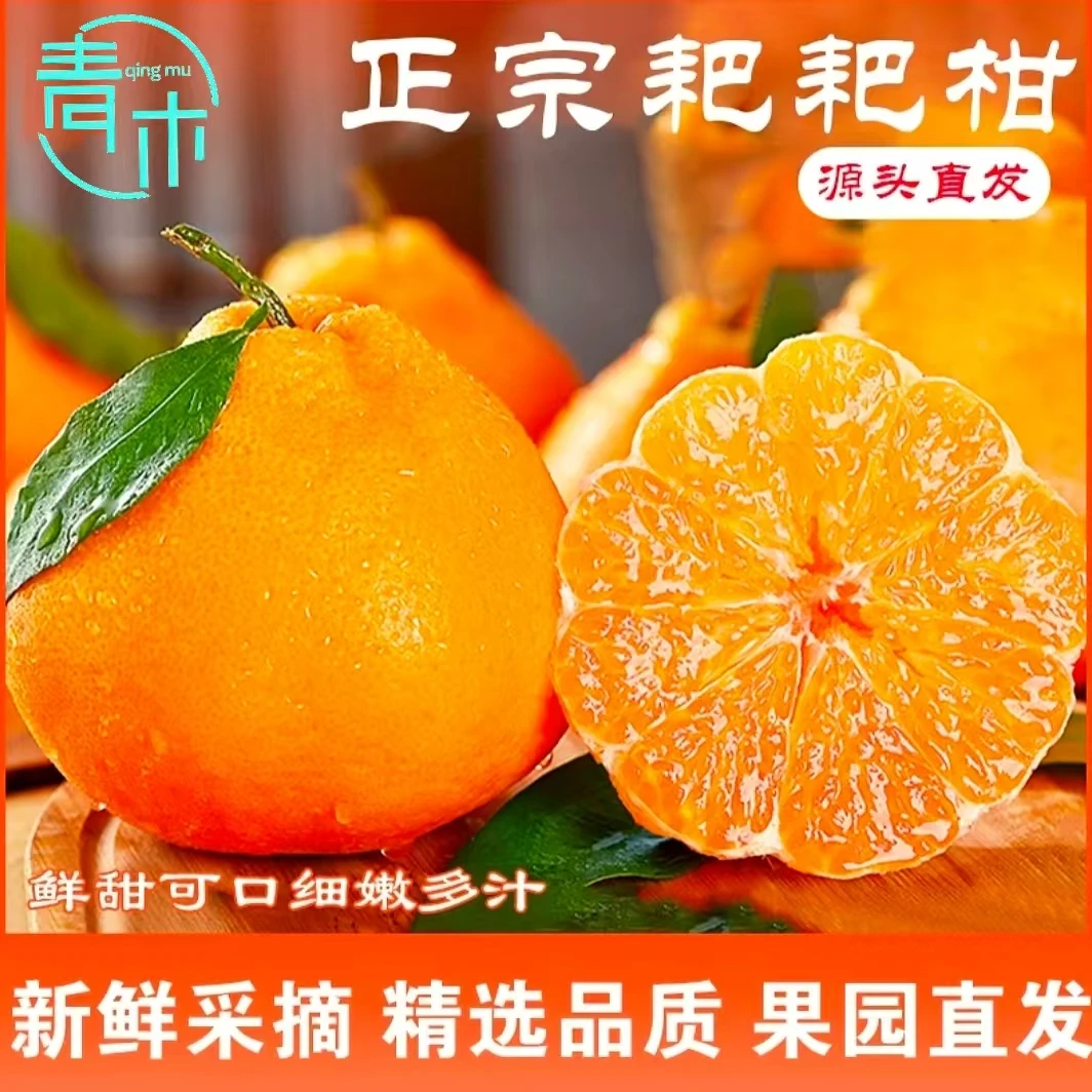 【新年宠粉福利】【XF专属】b四川蒲江春见耙耙柑新鲜水果应季鲜