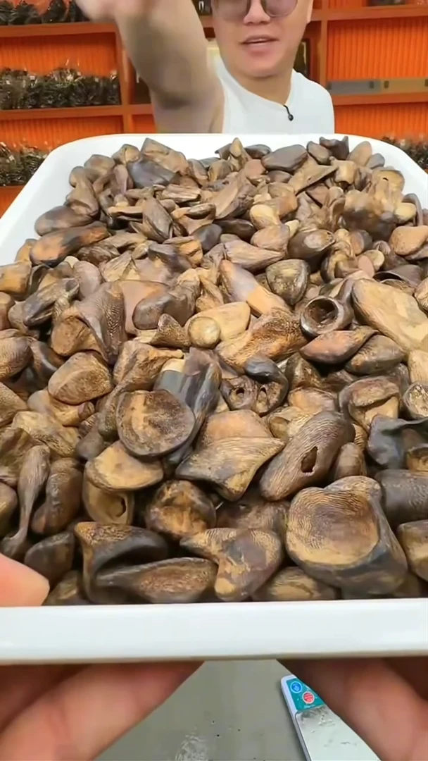 沉香吊坠164号沉水舍利子30g多样性发一