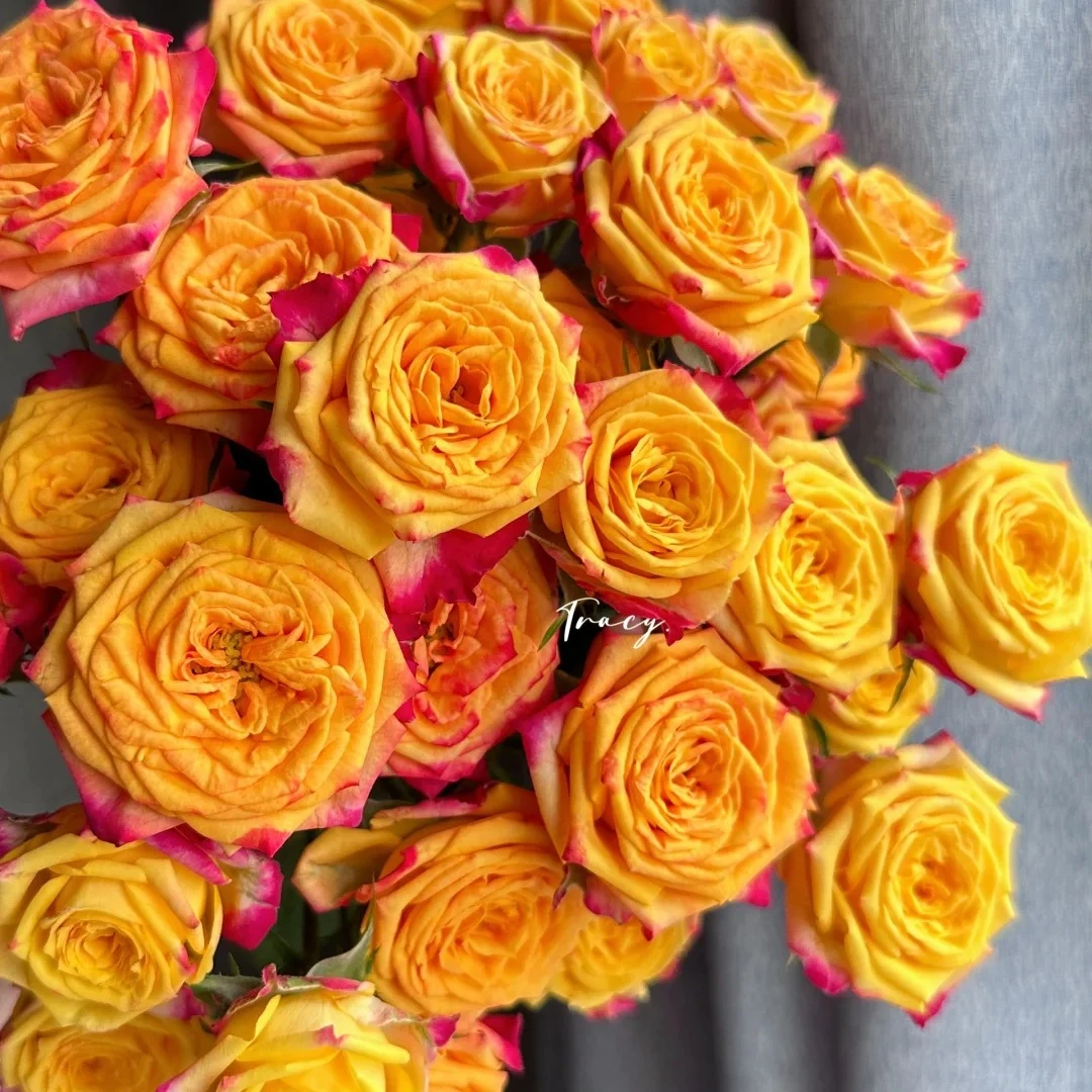 失地之火，玫瑰，1单冷链包邮，2单升级京东或者顺丰，远的发德邦