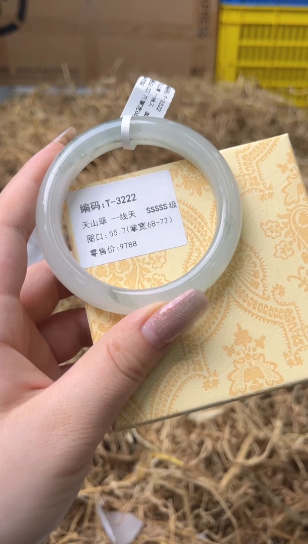 未镶嵌手镯石英质玉T-3222