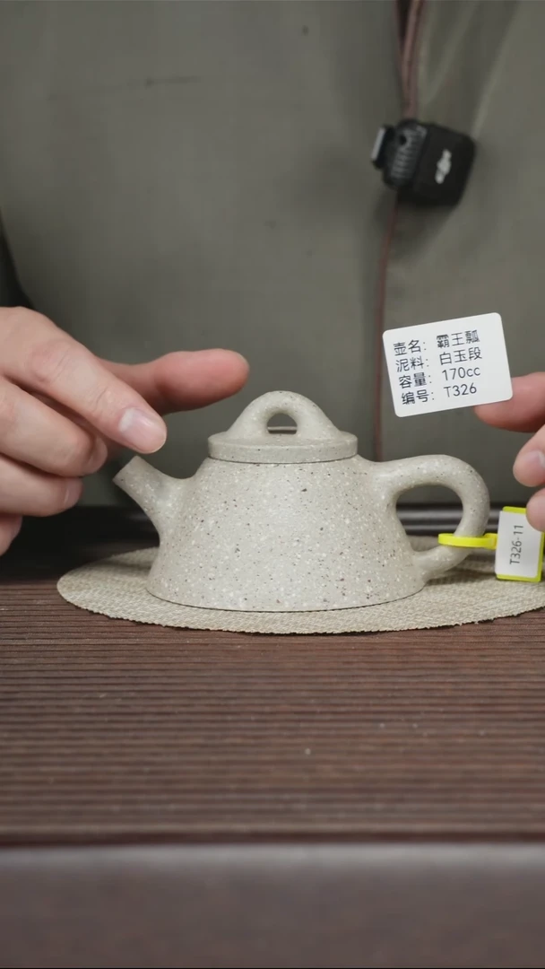 茶壶紫砂T326 白玉段 霸王瓢 170cc