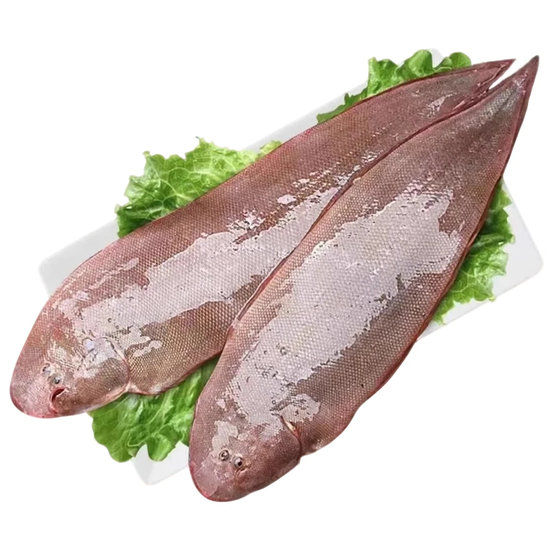 鲜冻红岛舌头鱼 5斤【5-7条/斤】炸鱼