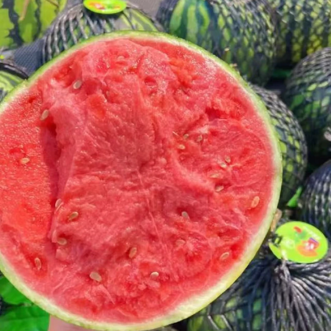 【万邦大晴甄选】海南麒麟西瓜49.9/个/6-7斤