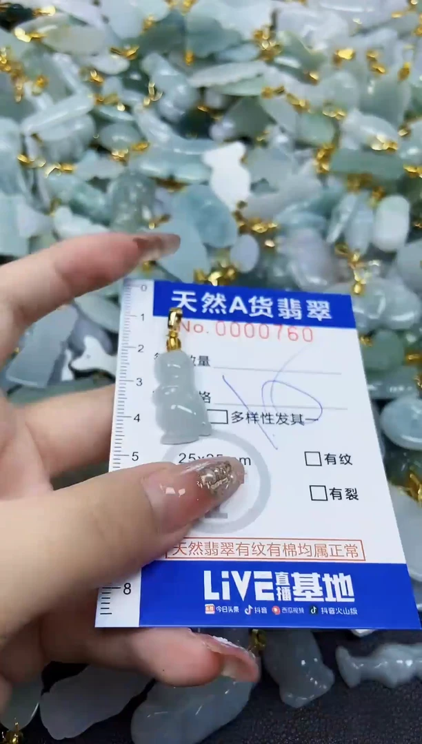 翡翠未镶嵌颈饰天然A货翡翠