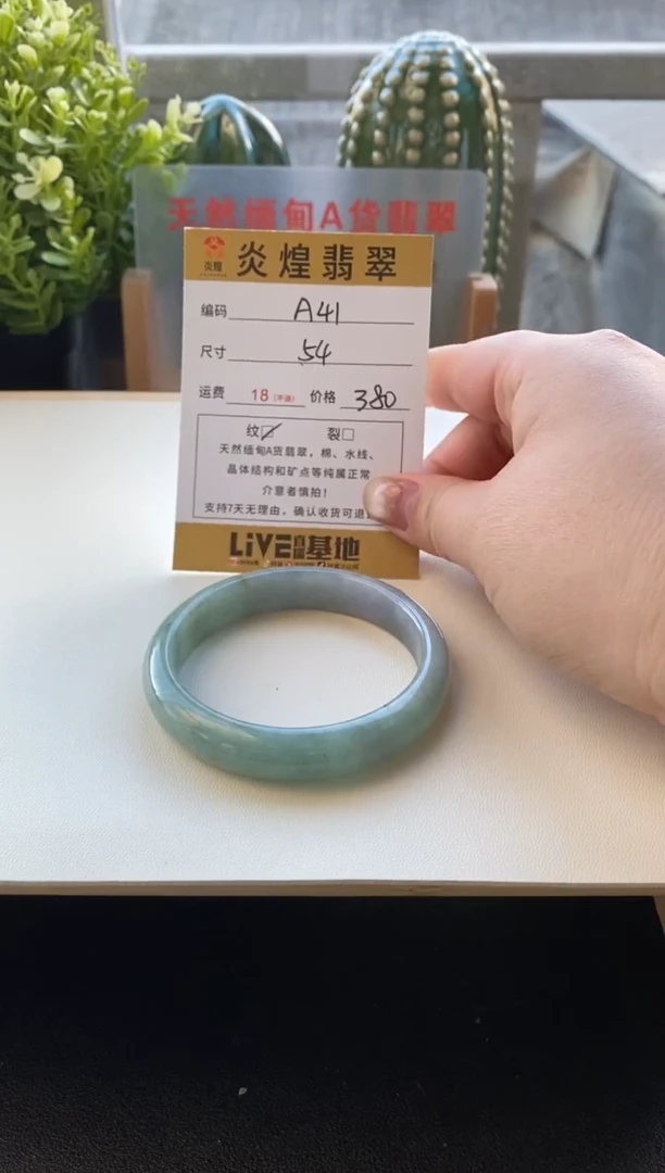 未镶嵌手镯翡翠圈口53.4编码a41
