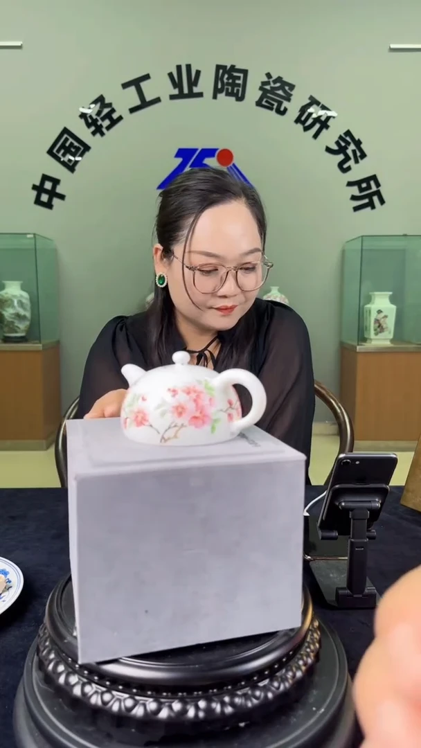 壶甄选-水点桃花半月壶茶壶