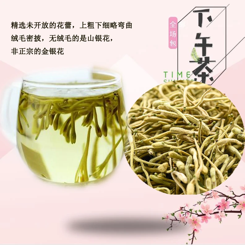 农户上山采摘薄荷金银花可试喝花茶搭配菊花枸杞甘草养生迷迭香