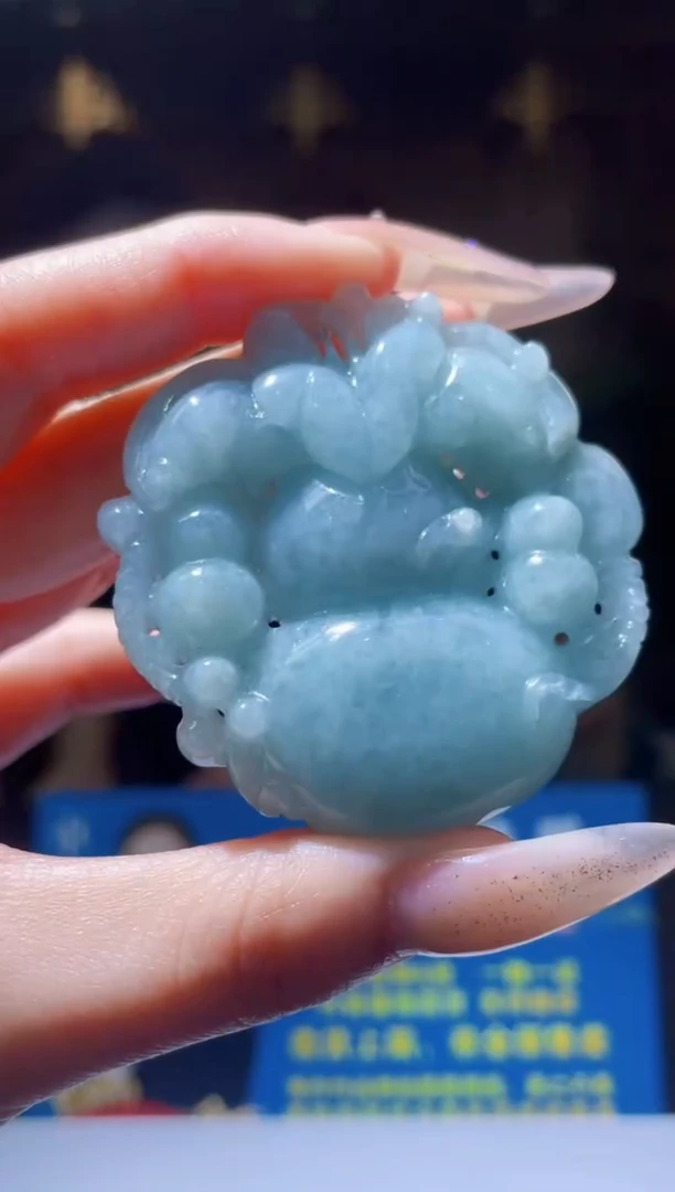 翡翠未镶嵌颈饰Z-@@BSGC060607多样性发其一