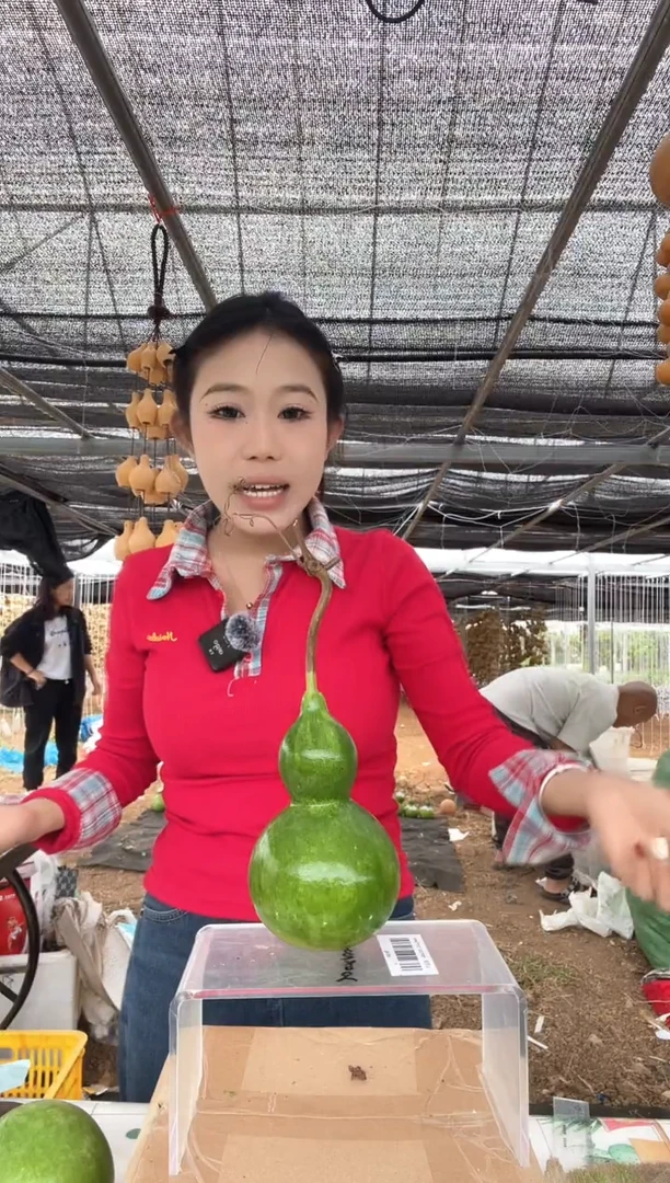 124天然葫芦摆件 一物一拍龙头不保售后