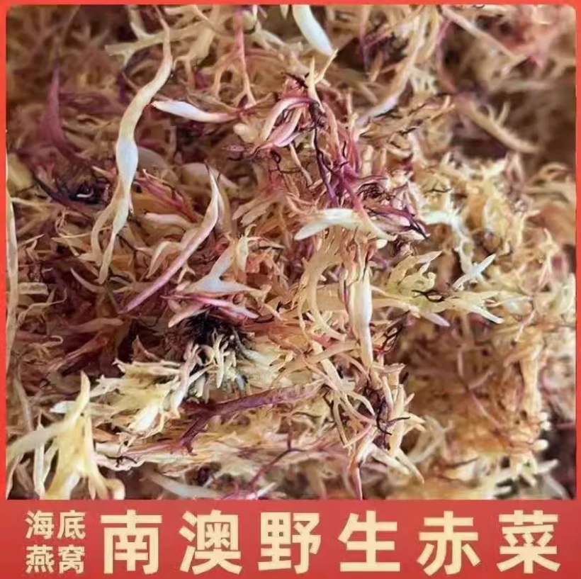 【年年滋补】南澳野生赤菜礁石上采摘纯天然海底燕窝