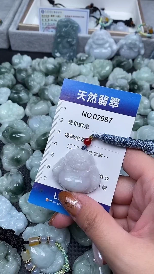 颈饰未镶嵌翡翠纯天然A货2987