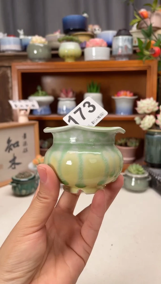 瓷片173知木小芳花盆编号