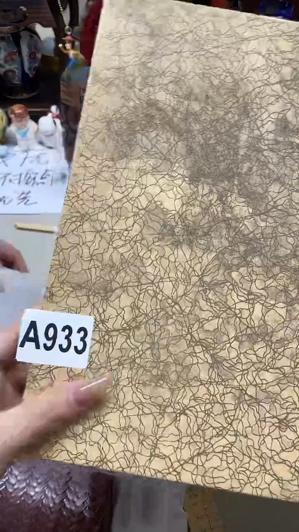 瓷片用****8用户7818090131538+++933+++++