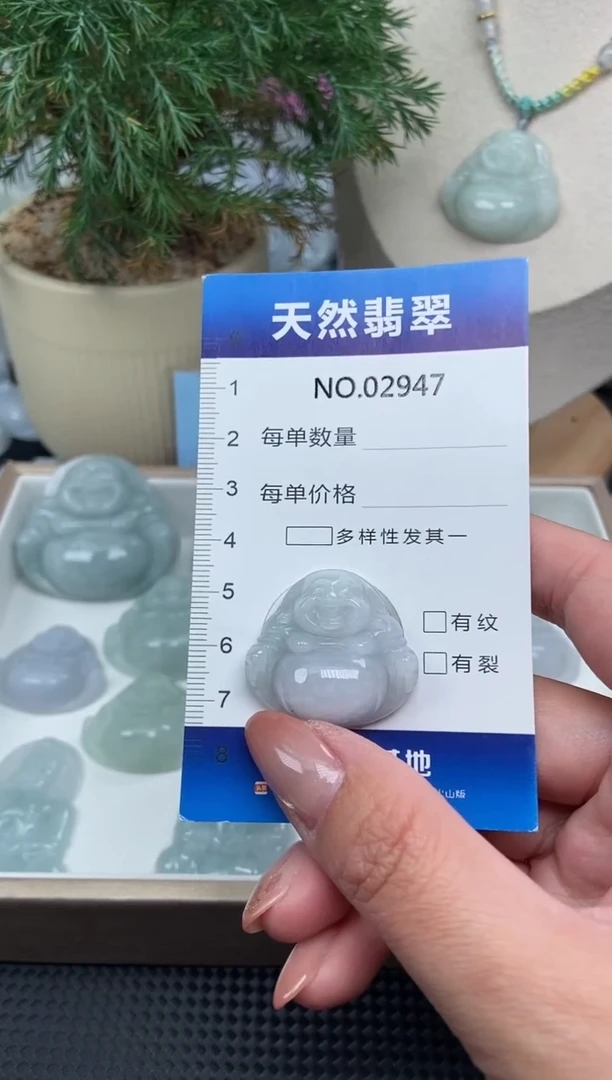 颈饰未镶嵌翡翠纯天然A货翡翠2947