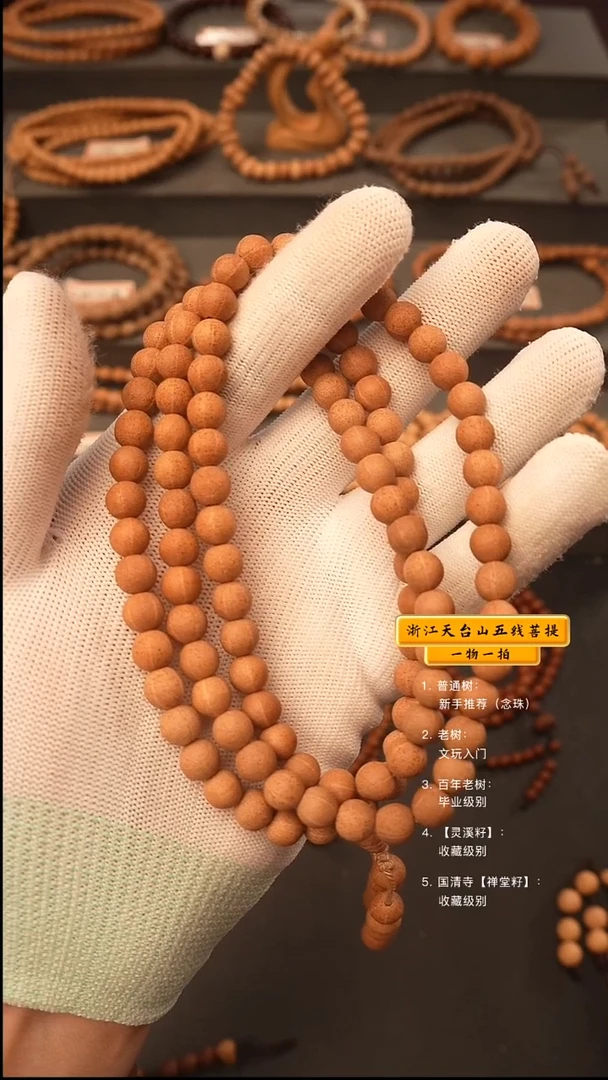 吊坠五线菩提梁*少脖挂
