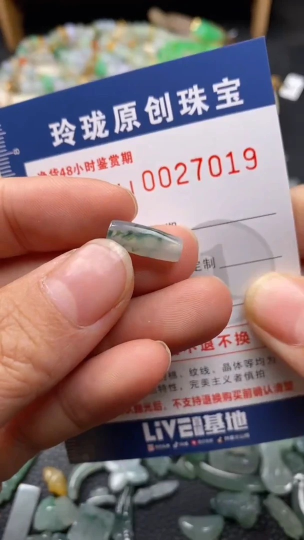 【闪购商品】翡翠颈饰未镶嵌翡翠净货27019
