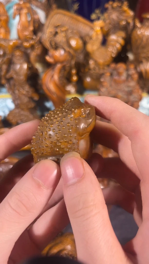 黄杨木111111111111