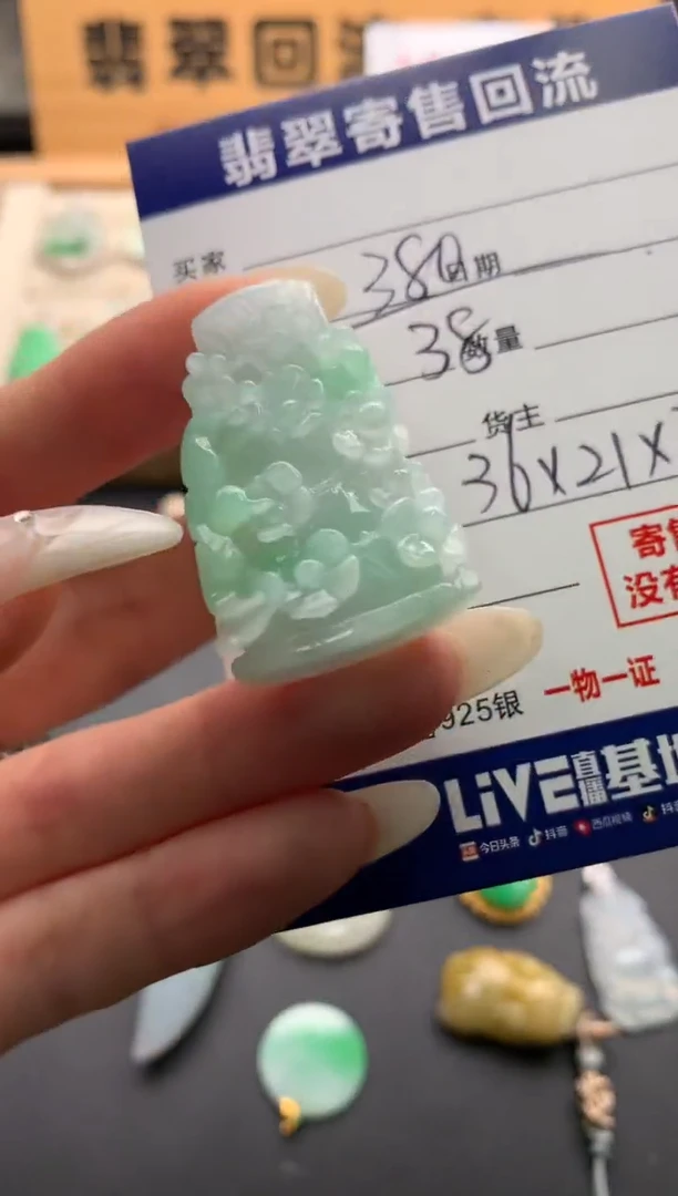 翡翠未镶嵌颈饰10138854