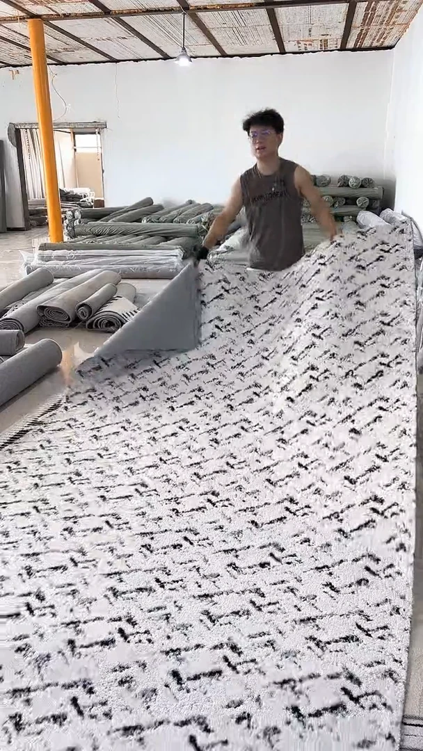 客厅床边卧室轻奢防水家用简约卧室客厅地毯