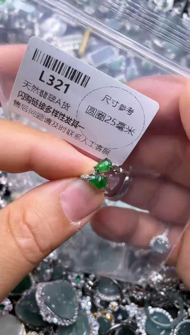 【闪购商品】翡翠颈饰未镶嵌L321耳扣