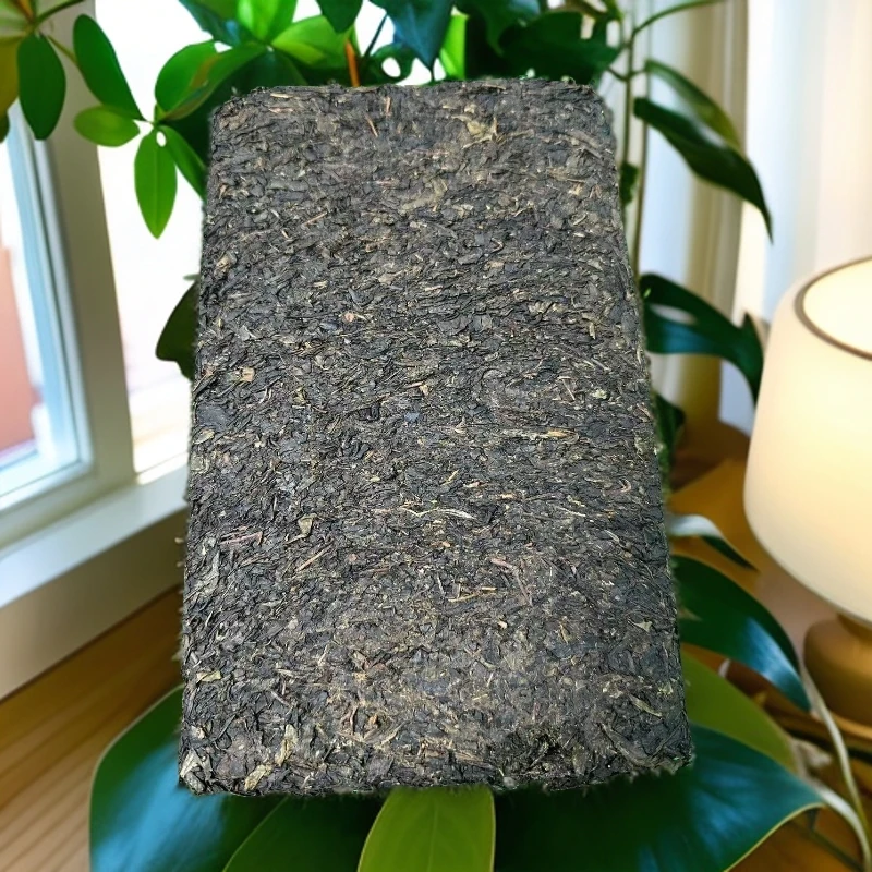 安化黑茶 老茯砖茶  2012年