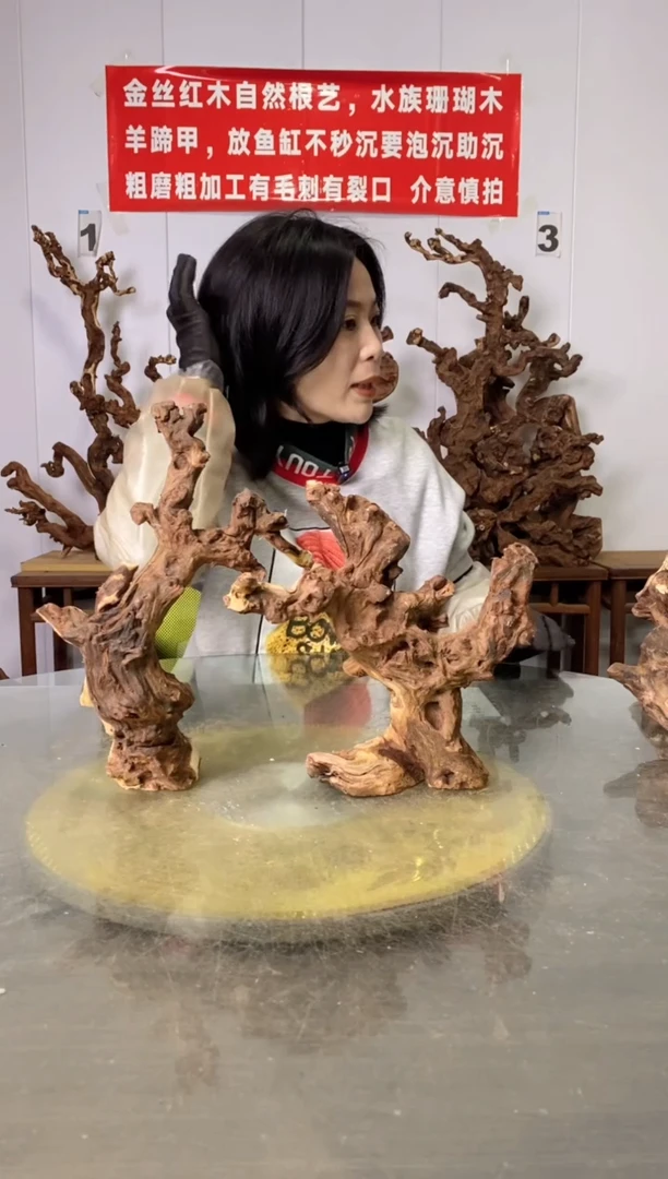 【闪购商品】木金丝红木 羊蹄甲