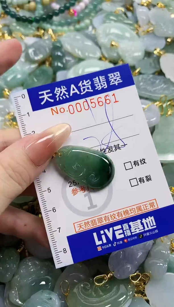颈饰未镶嵌翡翠天然A货翡翠