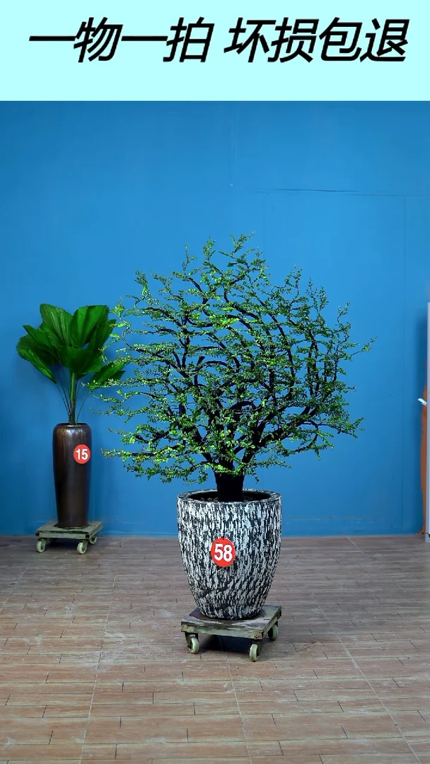 以实际为准广东小叶紫檀58