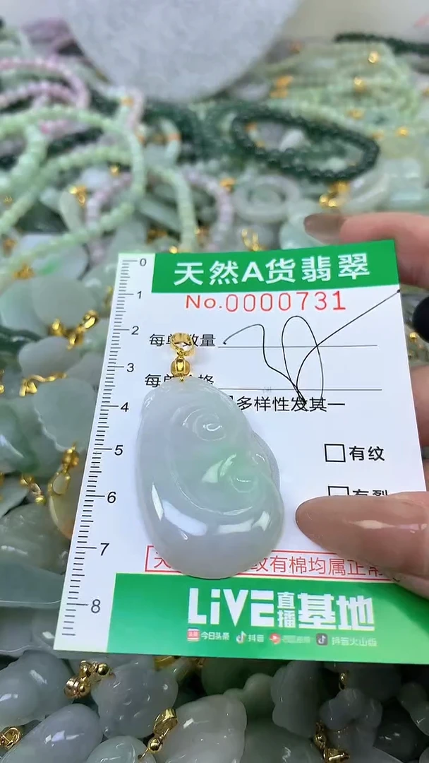 颈饰未镶嵌翡翠未镶嵌纯天然A货翡翠