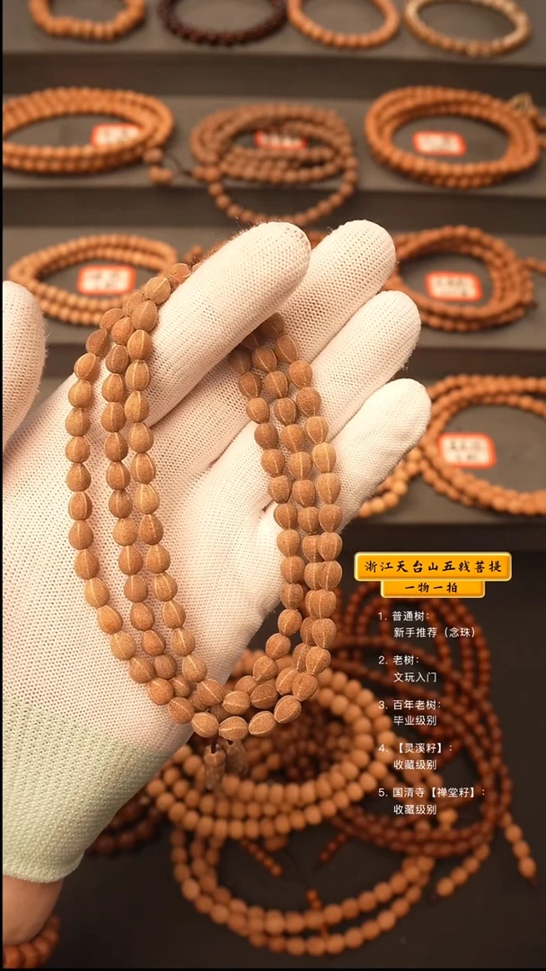 吊坠五线菩提行**时y脖挂