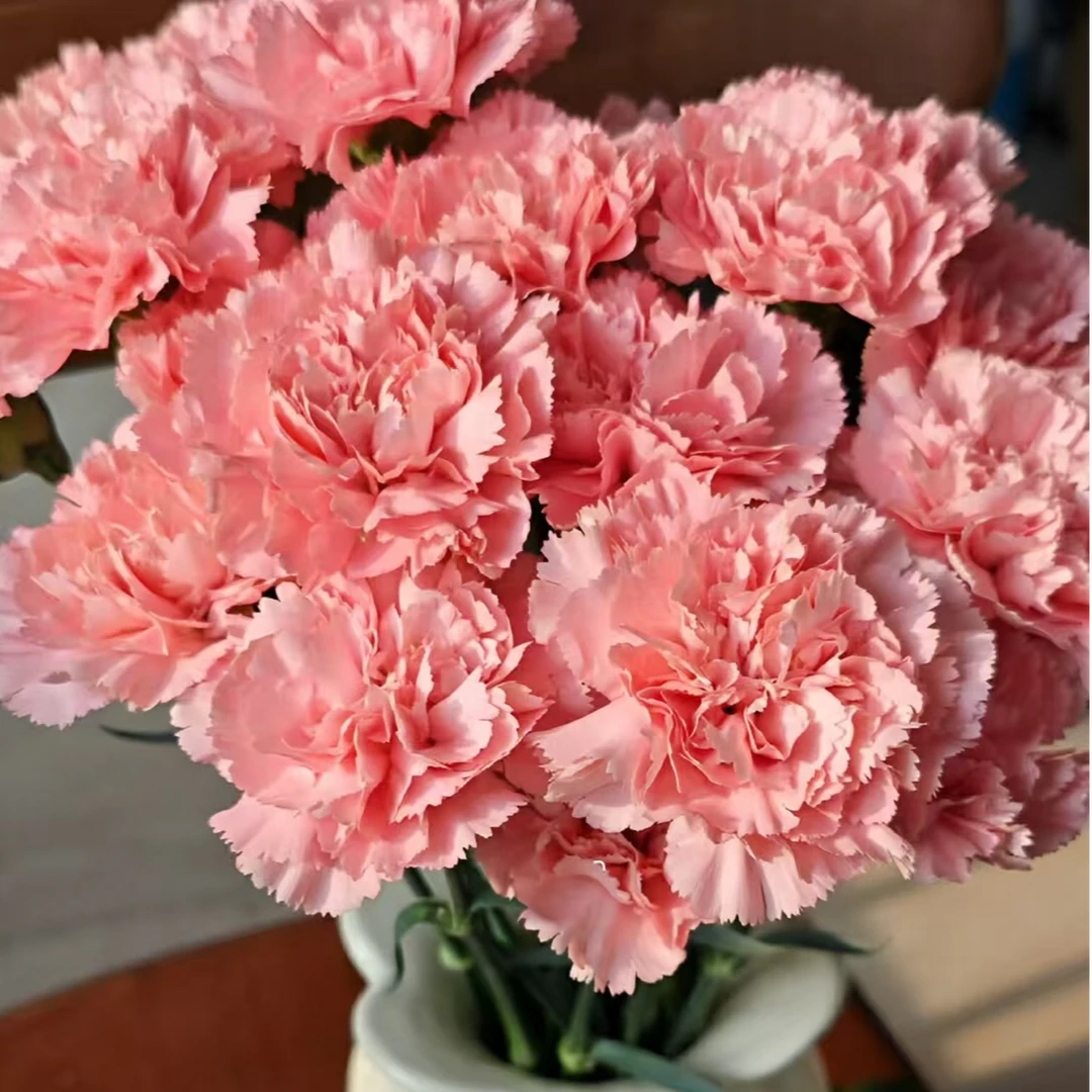 【花千氧】【母亲节】粉钻单头康乃馨15支送母亲云舍花卉鲜花园艺花束