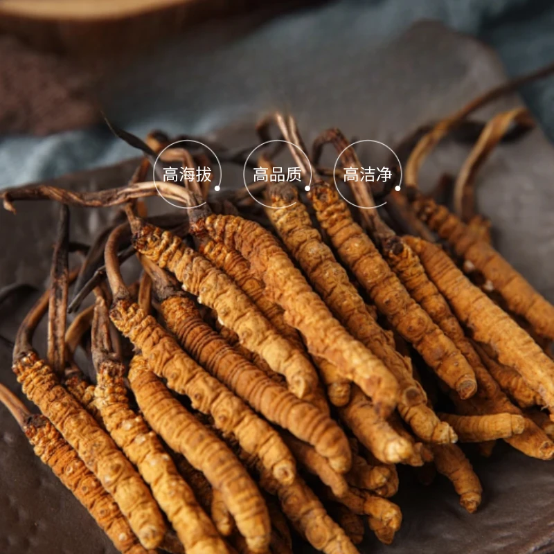 精选好品质鲜虫草