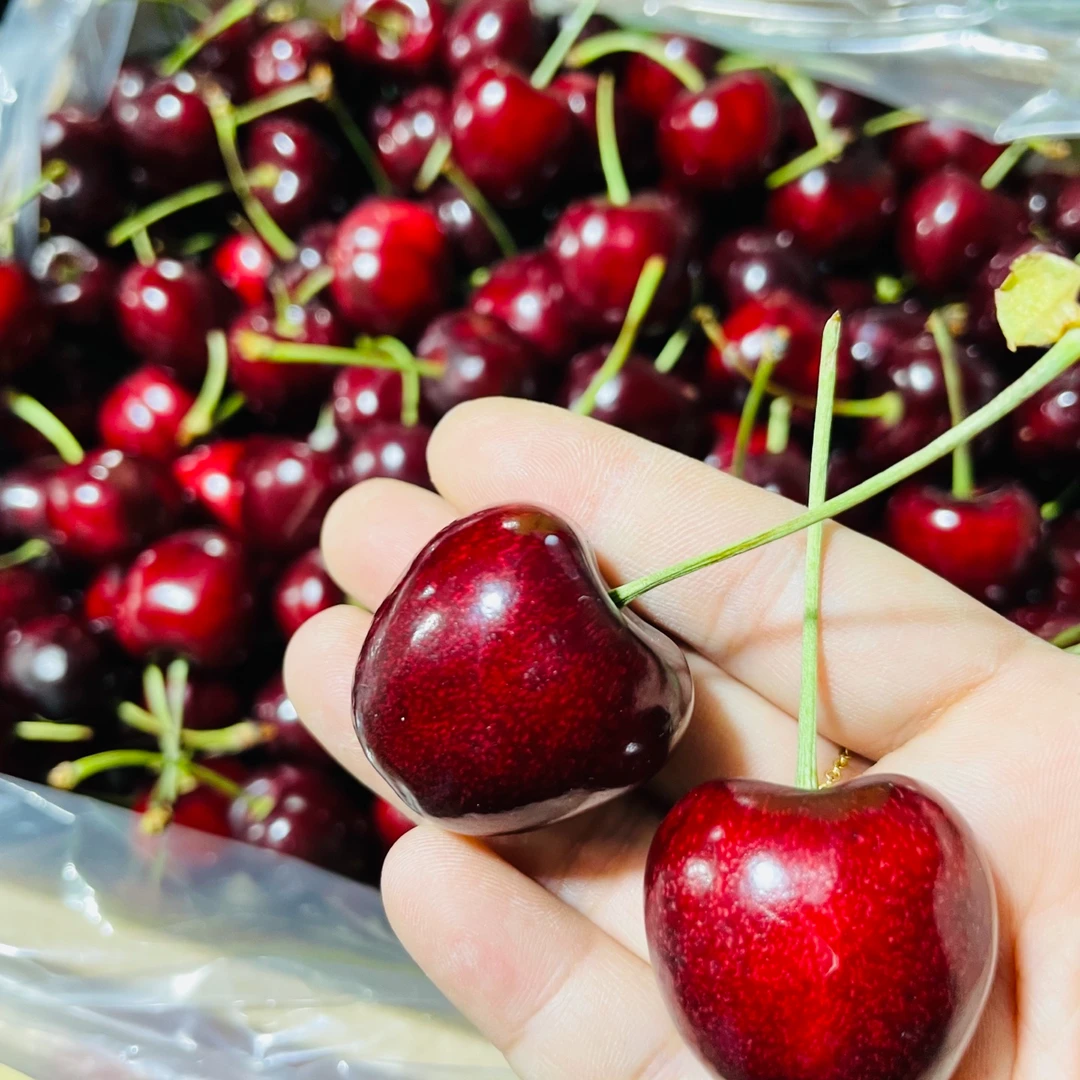 【3J空运智利车厘子科迪亚】脆甜多汁内附果径卡