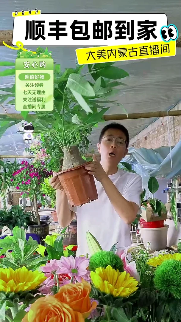 完全开放土培单杆发财