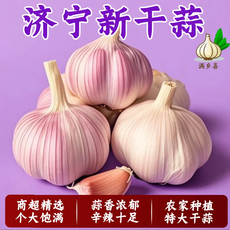 批发价超低价白皮大蒜紫皮干蒜山东批发蒜头新鲜红皮整箱便宜蔬菜