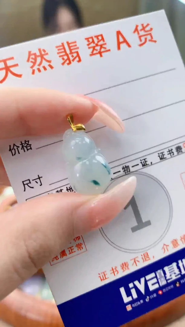 颈饰未镶嵌翡翠天然A货翡翠挂件