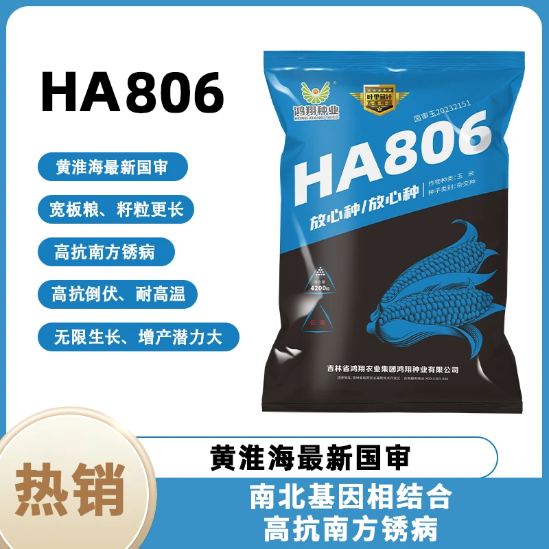 【高产玉米种子】HA806国审正品抗旱 玉米种丰收耐旱抗倒伏籽粒均匀