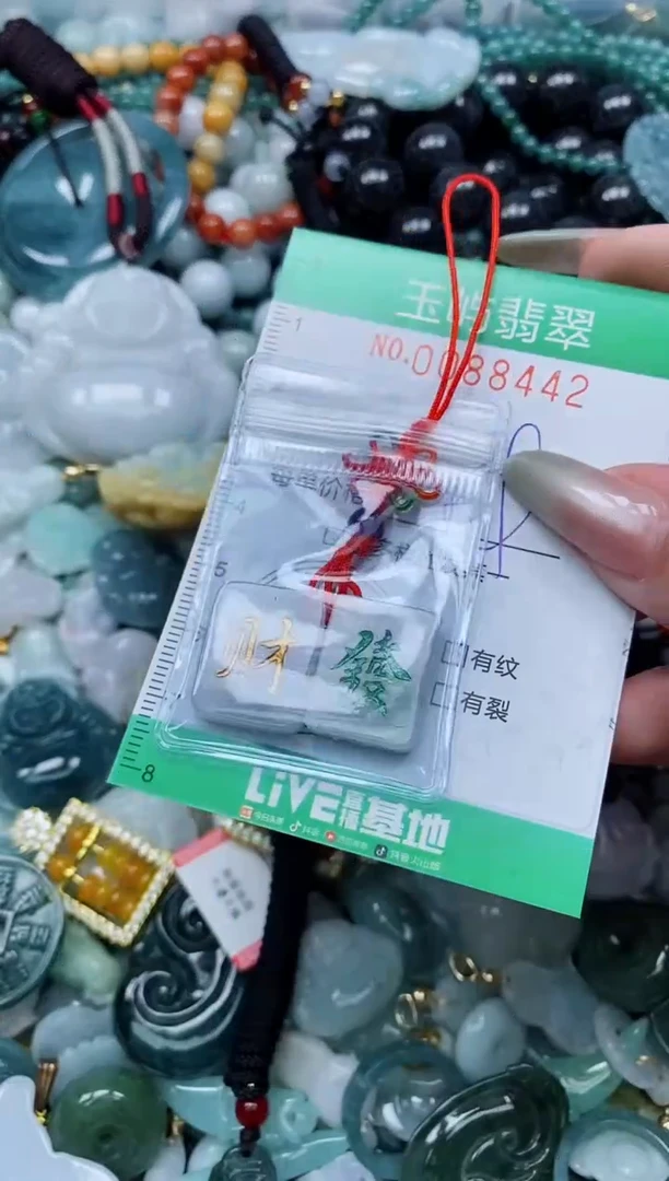 【闪购商品】翡翠颈饰未镶嵌闪购0088442