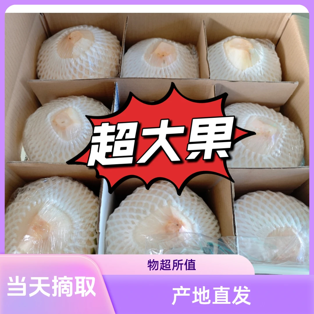 海南削皮椰青整箱2/4/6/9椰子新鲜椰子当天现摘孕妇水果椰子水
