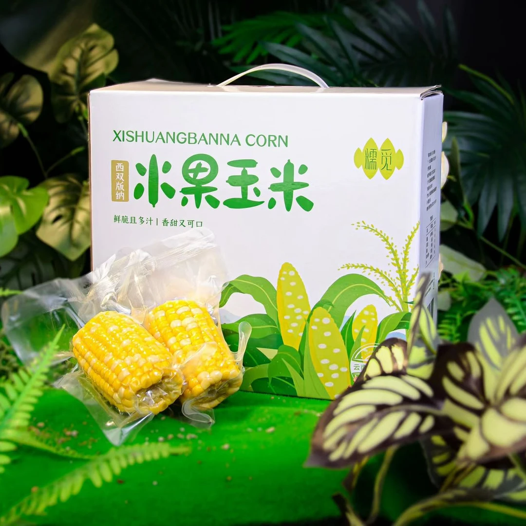 云南西双版纳水果玉米香甜多汁口感软糯礼品包装