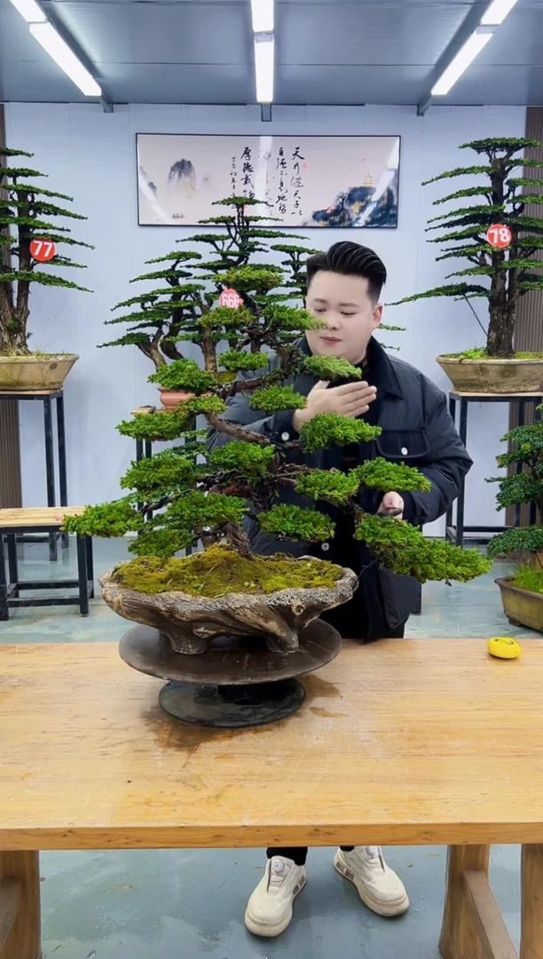 以实际为准百****号00000000000000000000