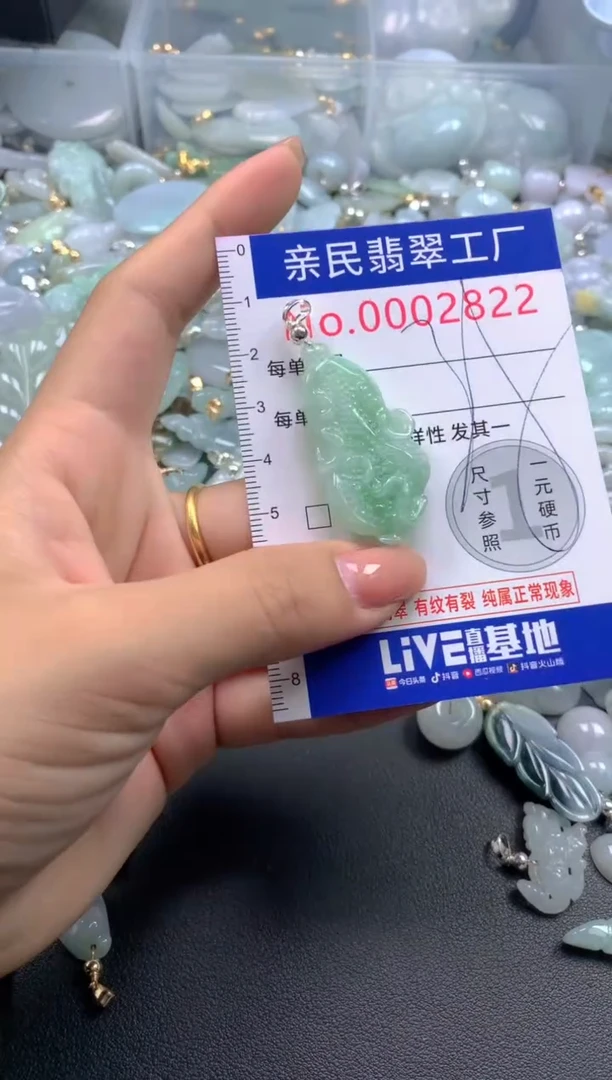 颈饰未镶嵌翡翠2822