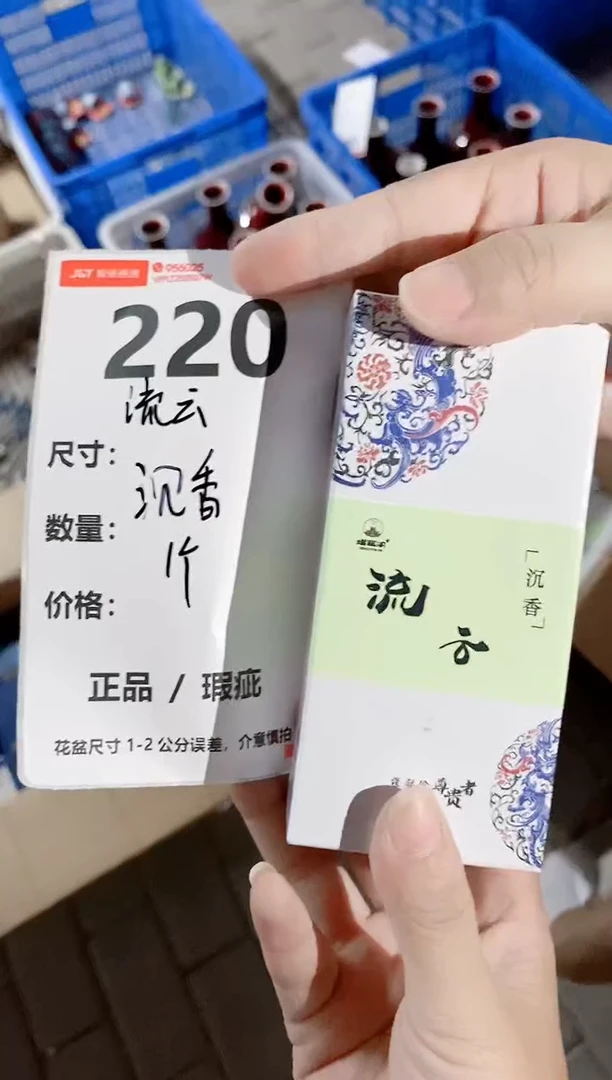 小玩子花盆直播号220