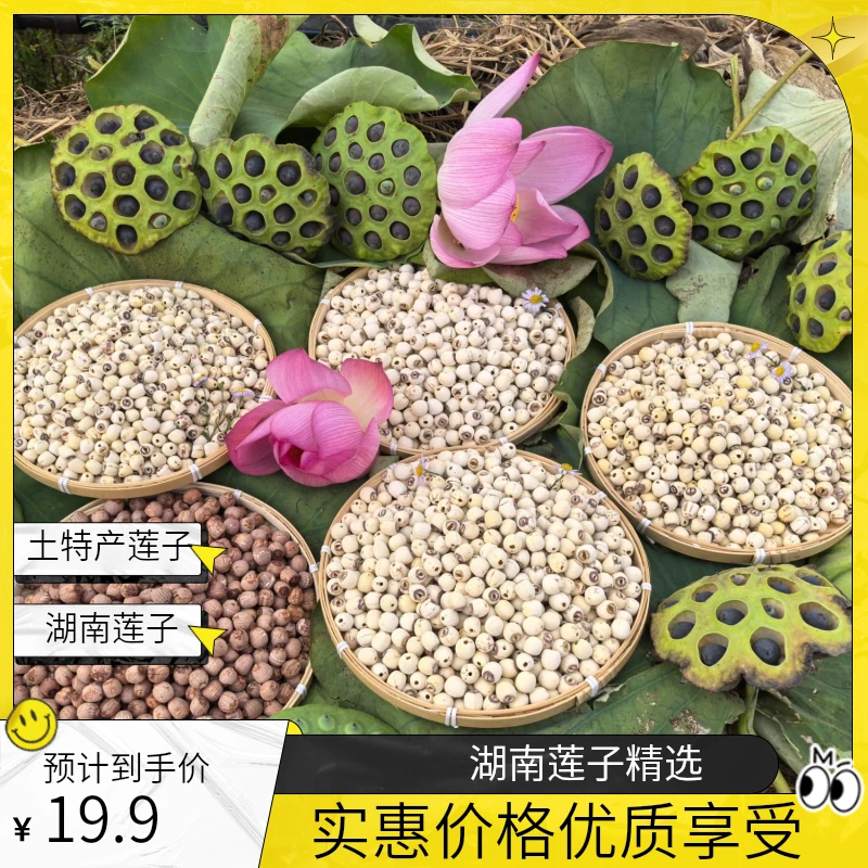 湖南农村土莲子精选磨皮去芯炖汤炖甜品土特产红白莲子