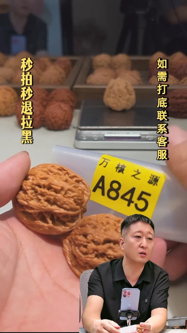 吊坠文玩核桃A845九龙筋40