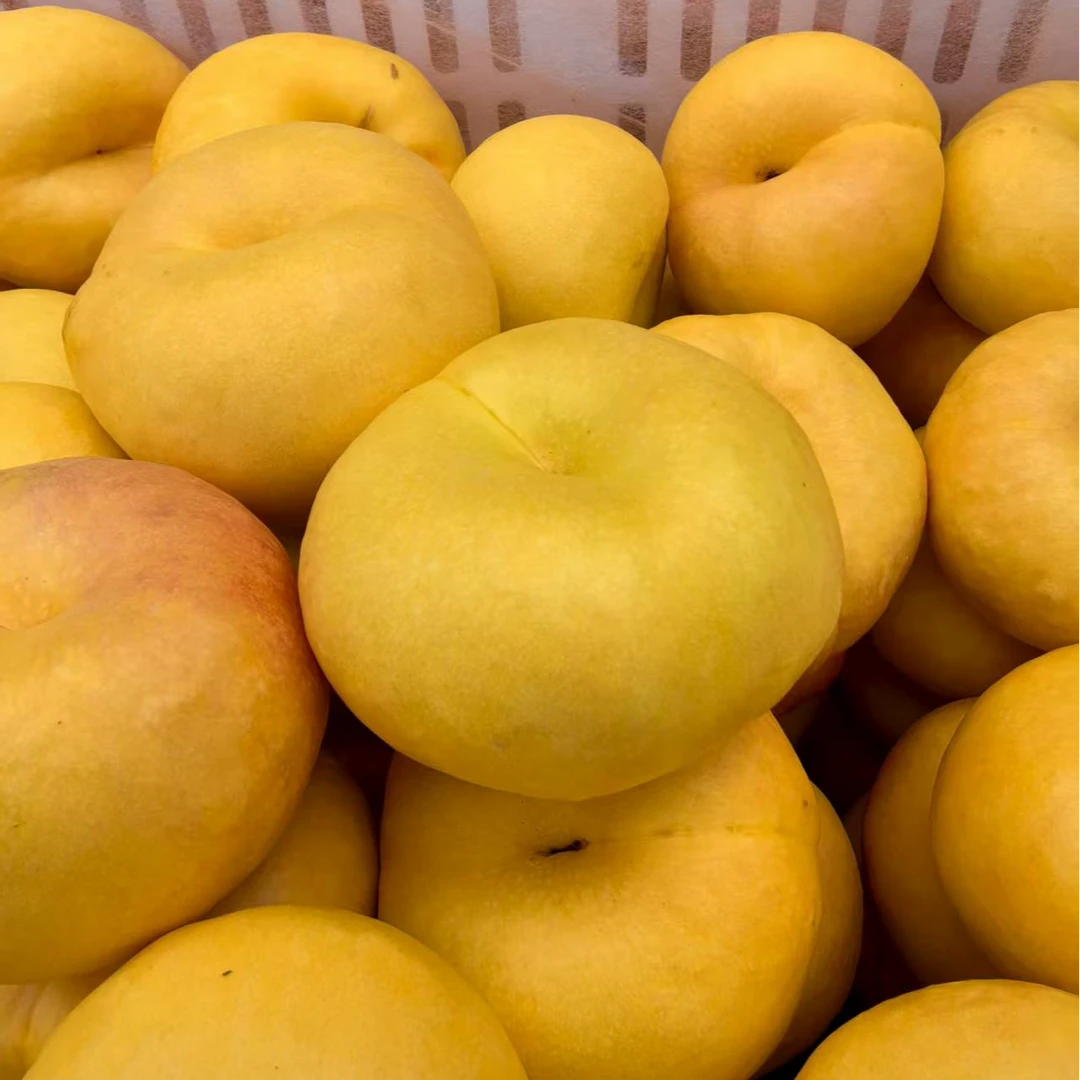 山东蒙阴黄油蟠桃4.5斤新鲜水果脆甜多汁坏果包赔